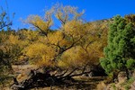 photo thumbnail #7