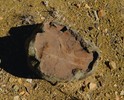 photo thumbnail #8