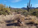 photo thumbnail #6