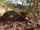 photo thumbnail #4
