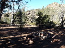 photo thumbnail #6