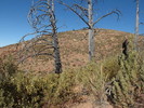 photo thumbnail #9