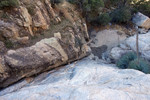 photo thumbnail #8