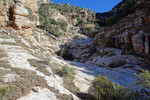 photo thumbnail #13