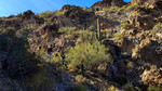 photo thumbnail #11