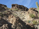 photo thumbnail #6