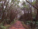 photo thumbnail #14
