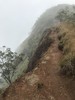 photo thumbnail #15