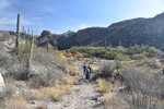 photo thumbnail #4