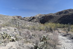 photo thumbnail #14