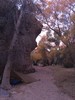 photo thumbnail #8