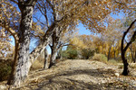 photo thumbnail #1
