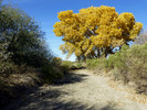 photo thumbnail #6