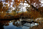 photo thumbnail #11