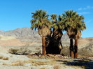 photo thumbnail #10