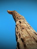 photo thumbnail #11