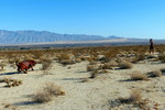 photo thumbnail #2