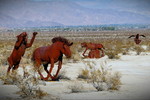 photo thumbnail #3