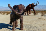 photo thumbnail #6