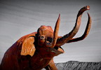 photo thumbnail #7