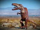 photo thumbnail #10