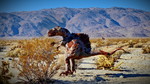 photo thumbnail #9