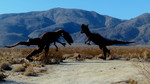 photo thumbnail #11