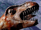 photo thumbnail #14