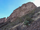 photo thumbnail #6