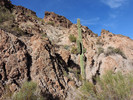 photo thumbnail #9