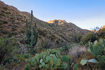 photo thumbnail #8