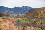 photo thumbnail #9