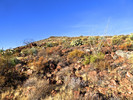 photo thumbnail #3