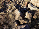 photo thumbnail #5