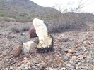 photo thumbnail #2