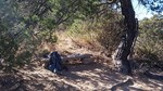 photo thumbnail #4