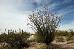 photo thumbnail #3
