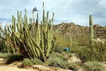 photo thumbnail #7