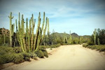 photo thumbnail #9