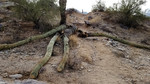 photo thumbnail #8