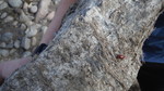 photo thumbnail #10