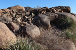 photo thumbnail #2