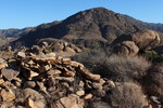photo thumbnail #5