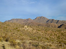 photo thumbnail #2