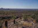 photo thumbnail #3