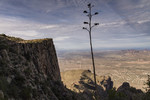 photo thumbnail #14