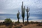photo thumbnail #1