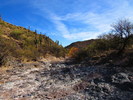 photo thumbnail #3