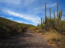 photo thumbnail #5