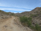 photo thumbnail #1